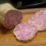 紫雲地瓜 + 巴西西蒙一號 白蕃薯枝條